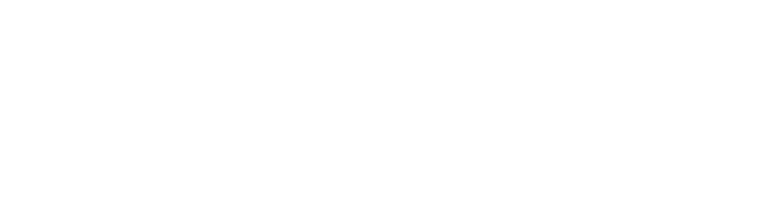 VERS Logo company bg